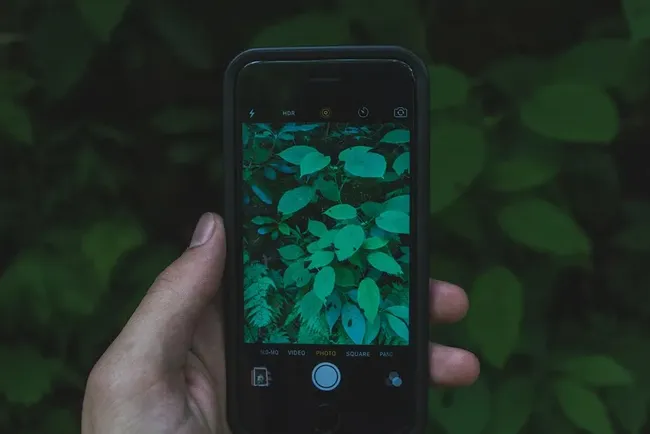 iPhone 12
