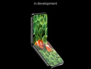 fold iPhone